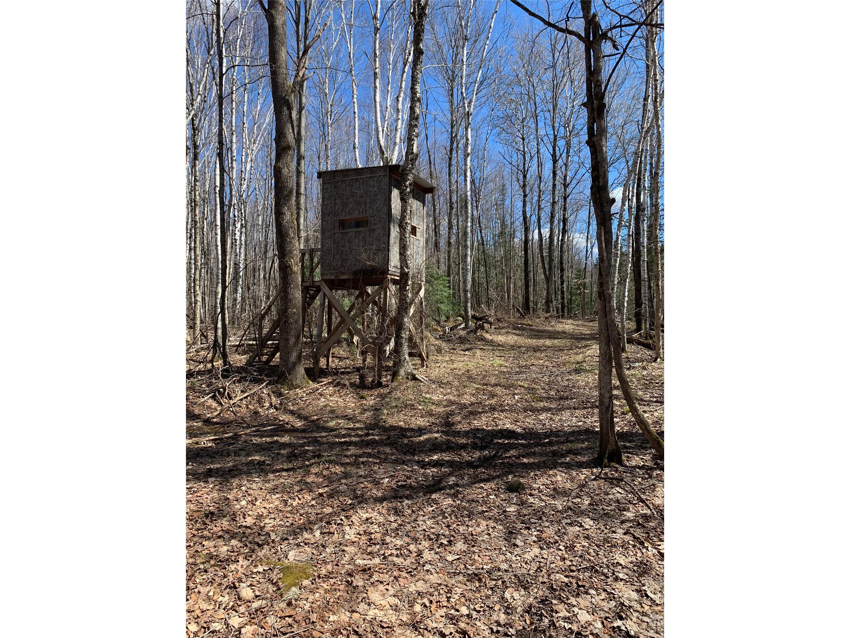 80+/- Acres Off South Park Road Butternut WI 54514 - Smith Creek 1600524 image8