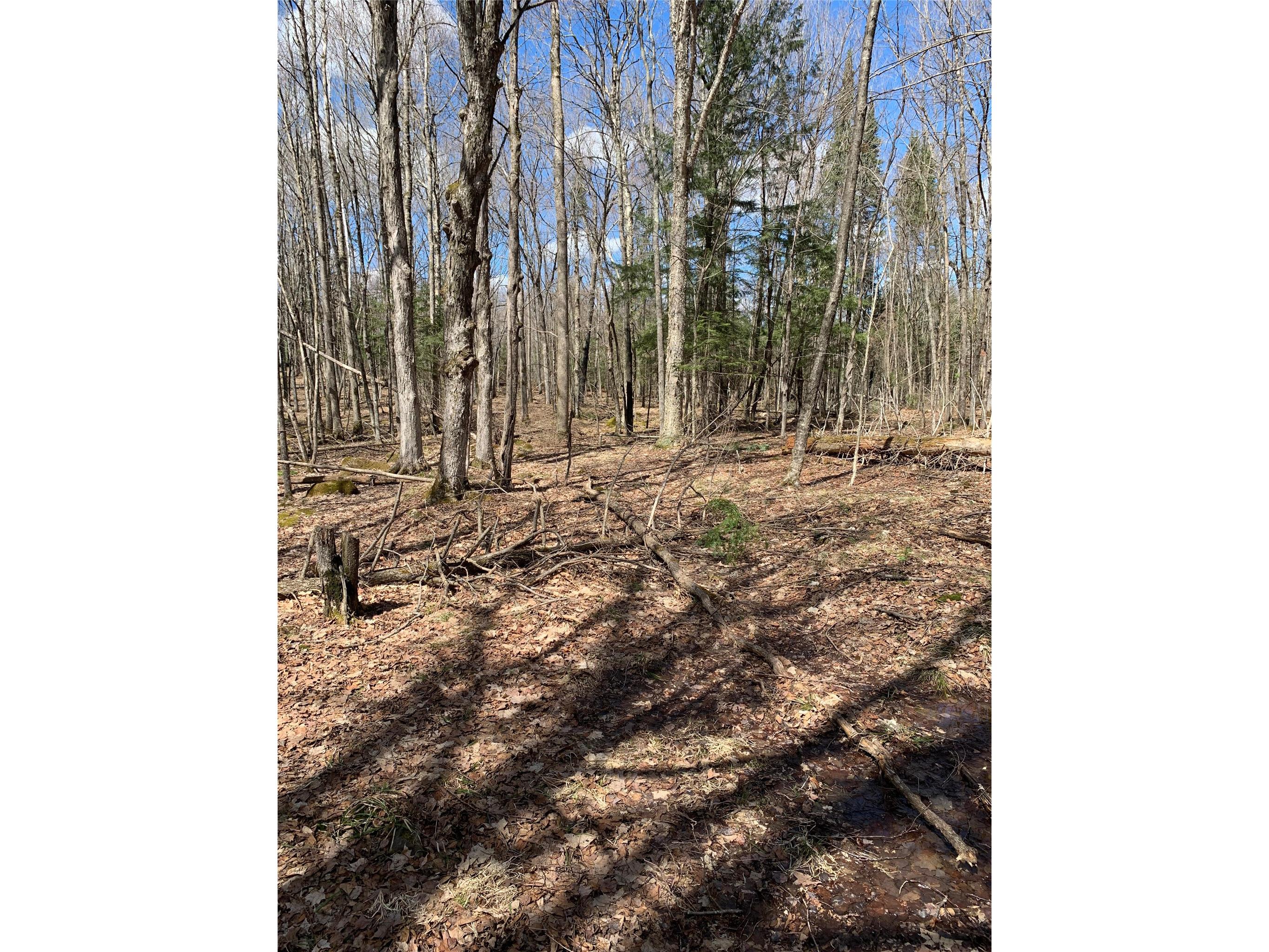 80+/- Acres Off South Park Road Butternut WI 54514 - Smith Creek 1600524 image9