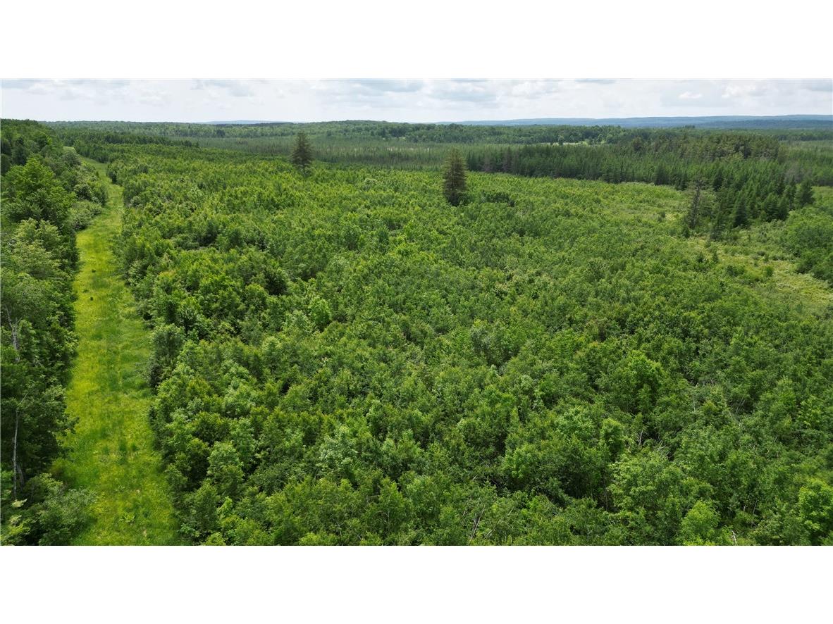 80 Acres Off Of Highway 40 Radisson WI 54867 1592915 image1