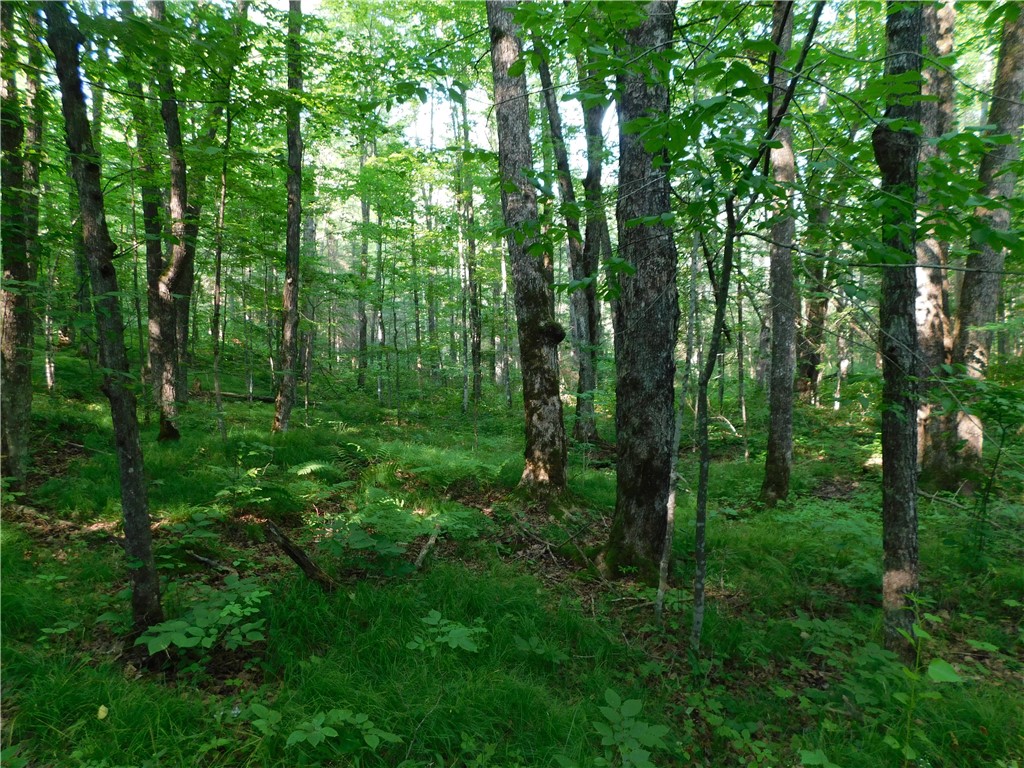 80 Acres Off Of County Road O Ogema WI 54459 1589847 image10