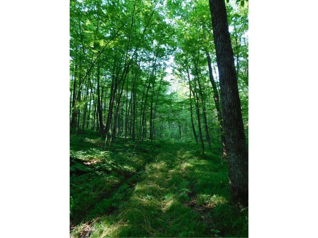 80 Acres Off Of County Road O Ogema WI 54459 1589847 image11