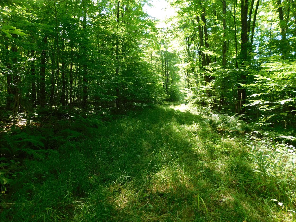 80 Acres Off Of County Road O Ogema WI 54459 1589847 image13