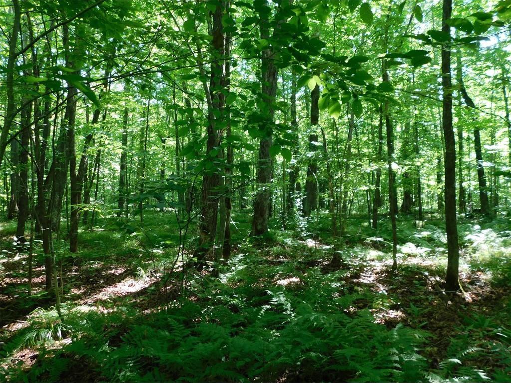 80 Acres Off Of County Road O Ogema WI 54459 1589847 image14