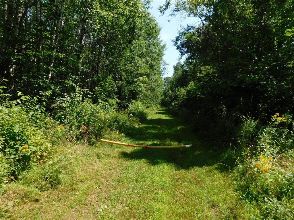 80 Acres Off Of County Road O Ogema WI 54459 1589847 image15