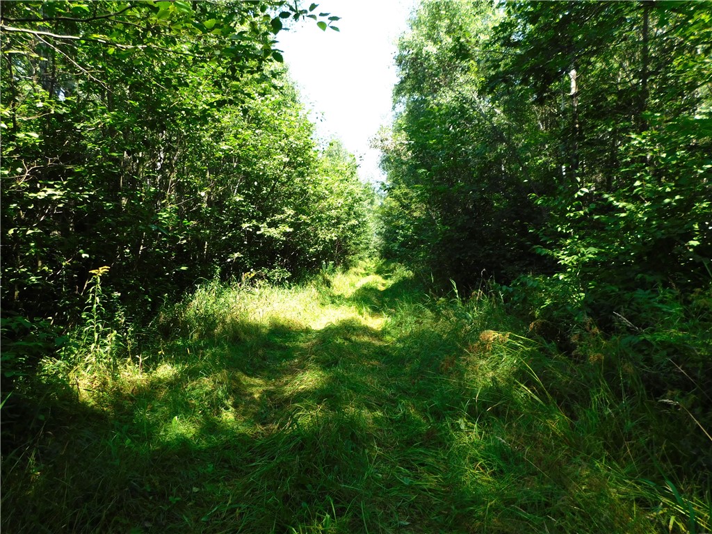 80 Acres Off Of County Road O Ogema WI 54459 1589847 image16