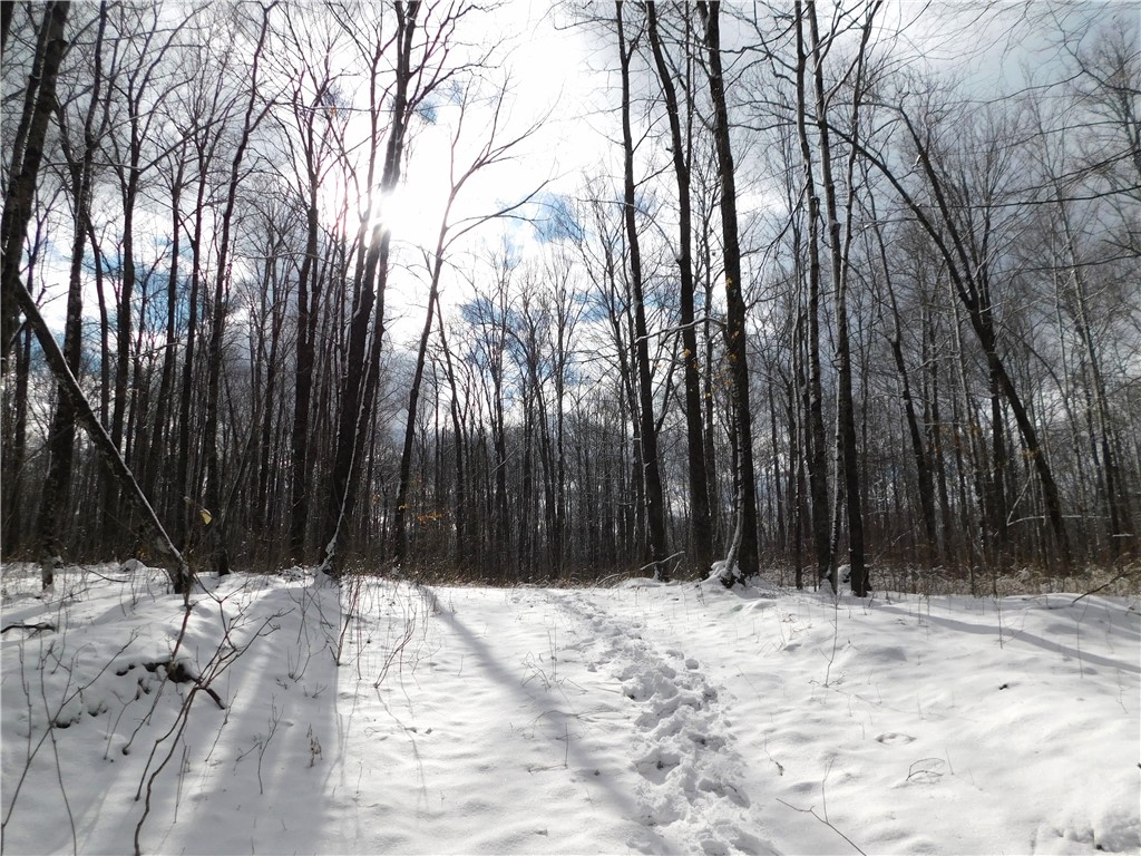 80 Acres Off Of County Road O Ogema WI 54459 1589847 image17
