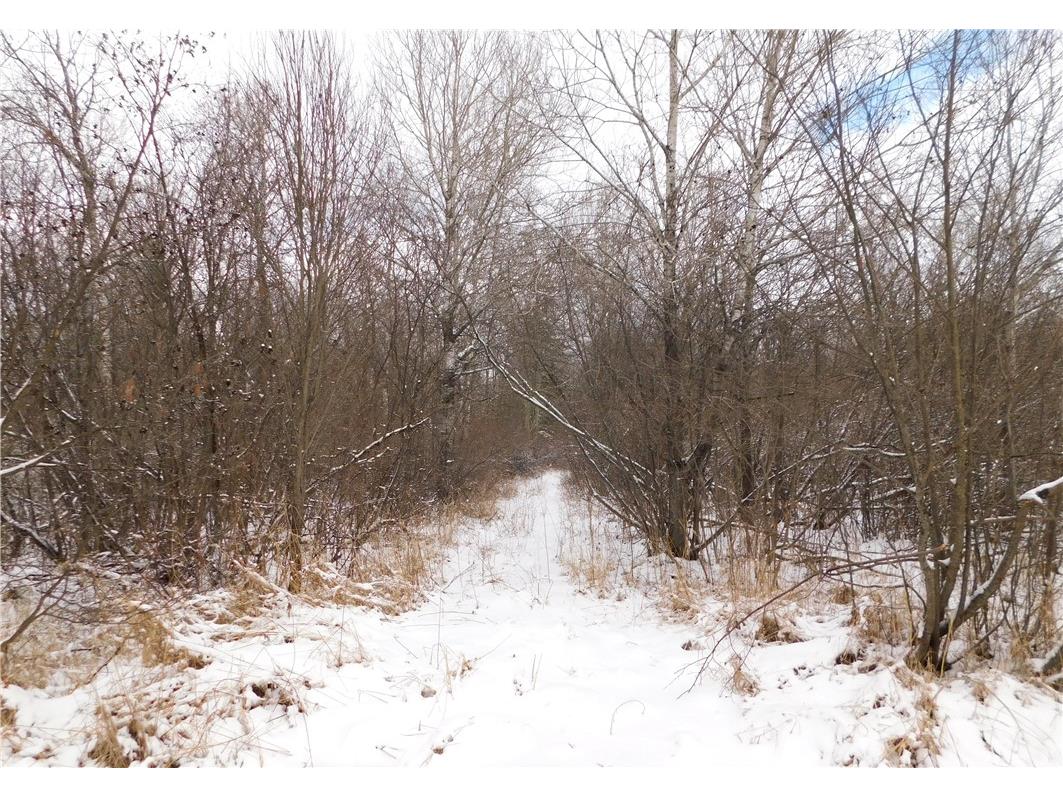 80 Acres Off Of County Road O Ogema WI 54459 1589847 image18