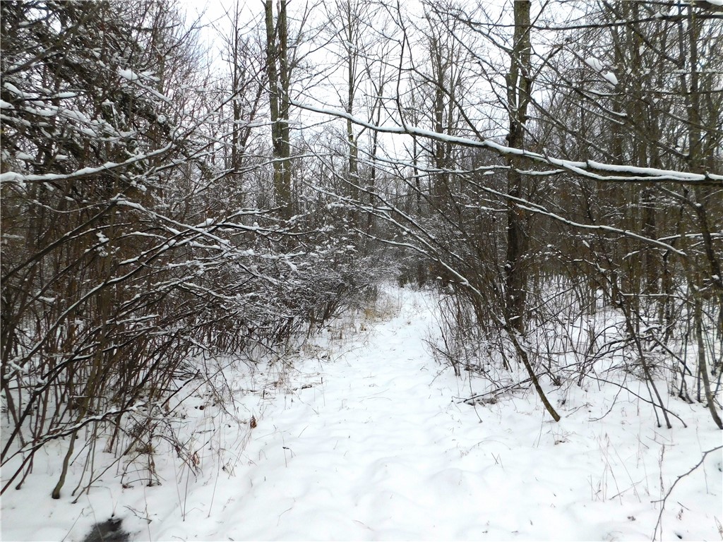 80 Acres Off Of County Road O Ogema WI 54459 1589847 image19