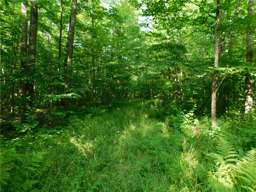 80 Acres Off Of County Road O Ogema WI 54459 1589847 image2