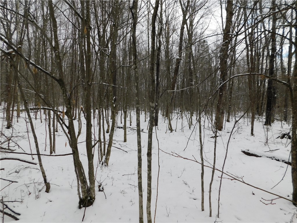 80 Acres Off Of County Road O Ogema WI 54459 1589847 image20