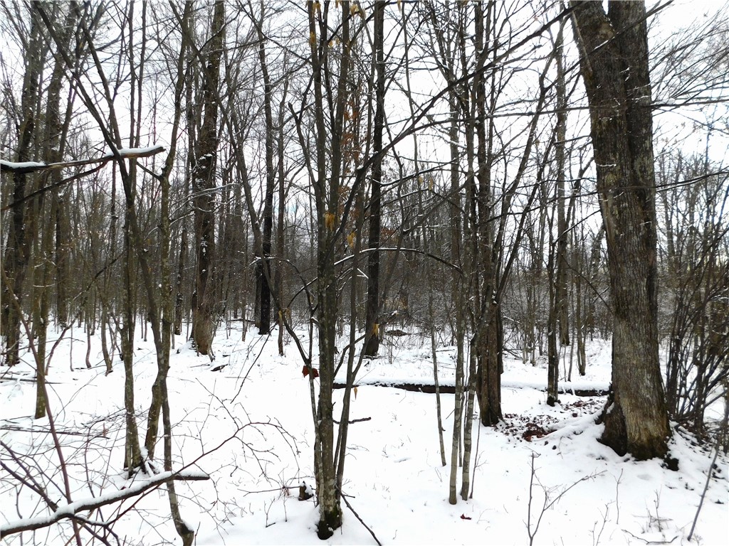 80 Acres Off Of County Road O Ogema WI 54459 1589847 image21