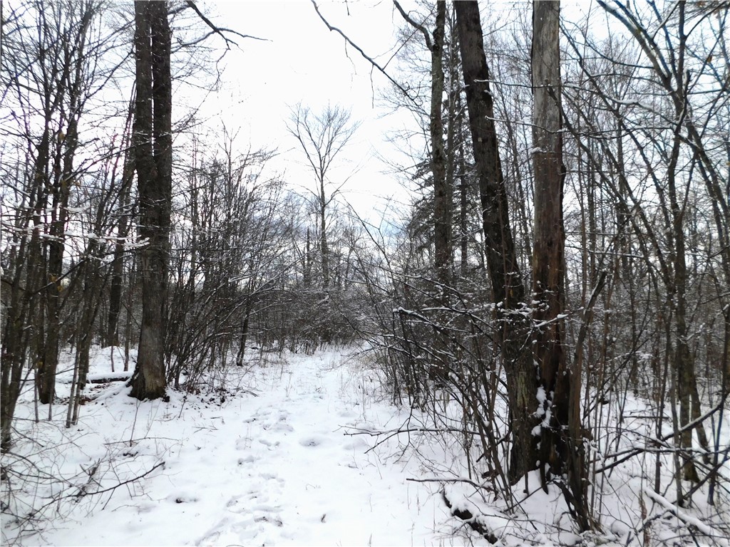 80 Acres Off Of County Road O Ogema WI 54459 1589847 image22