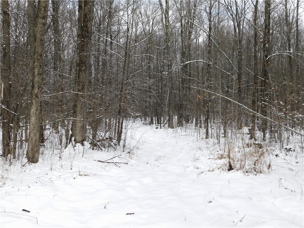 80 Acres Off Of County Road O Ogema WI 54459 1589847 image24