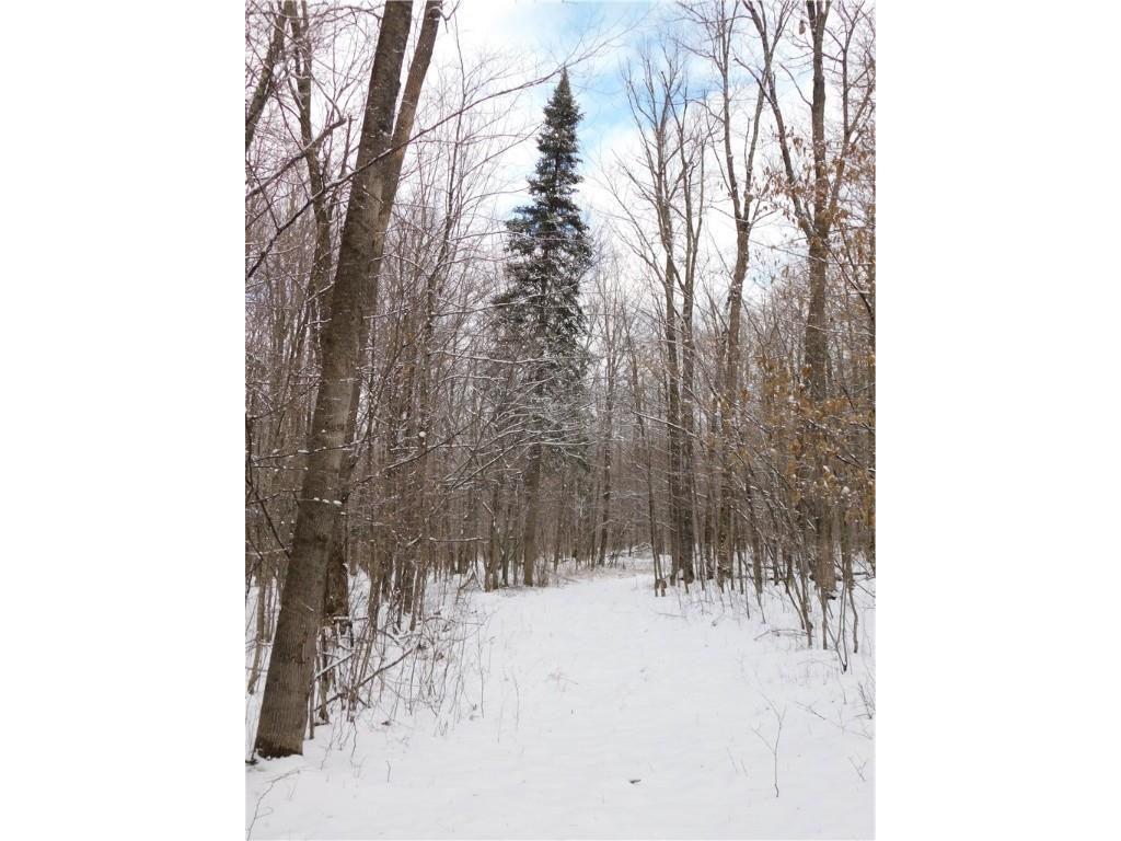 80 Acres Off Of County Road O Ogema WI 54459 1589847 image25
