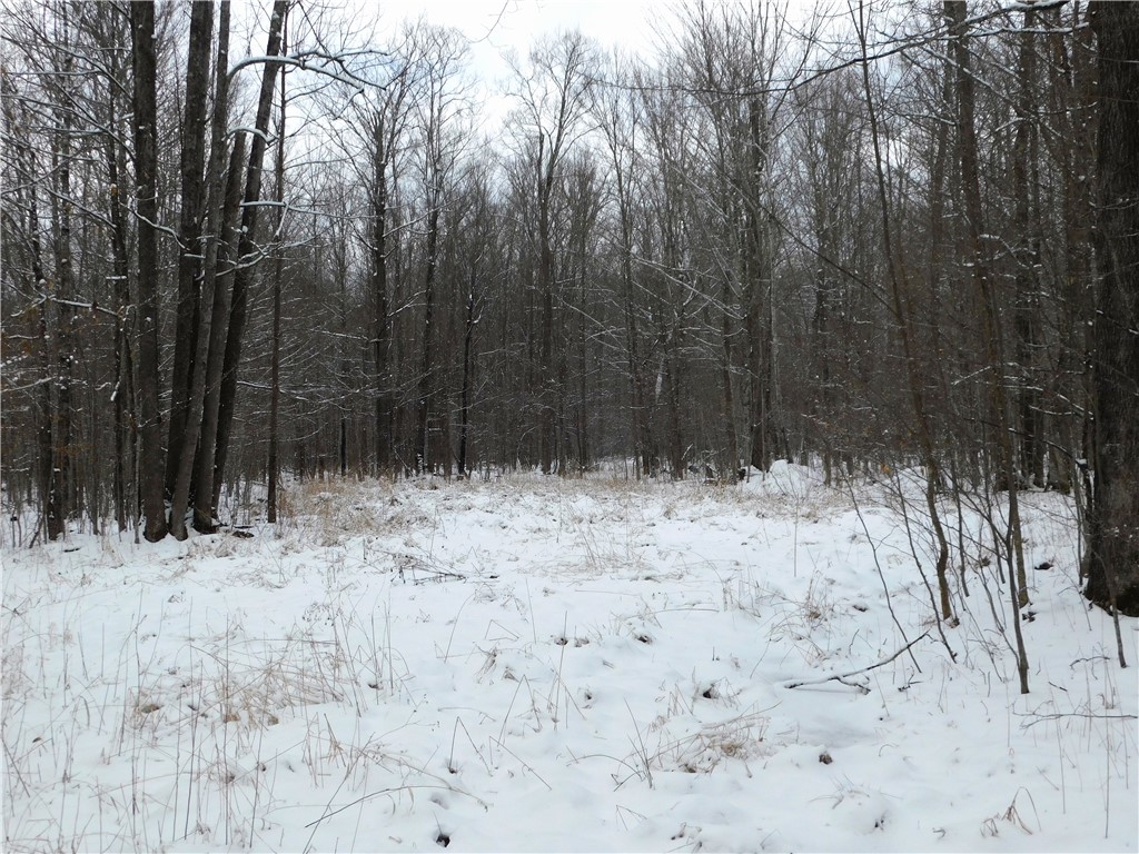 80 Acres Off Of County Road O Ogema WI 54459 1589847 image26