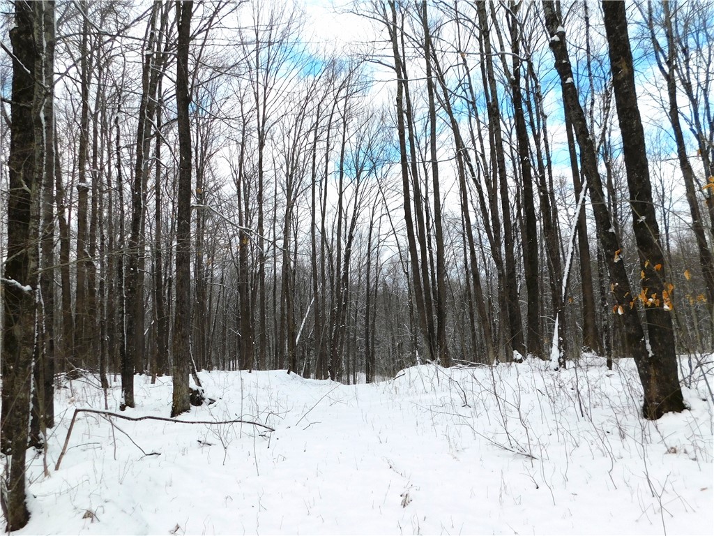 80 Acres Off Of County Road O Ogema WI 54459 1589847 image28