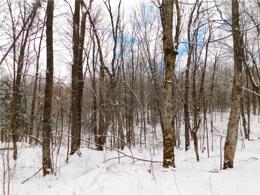 80 Acres Off Of County Road O Ogema WI 54459 1589847 image29