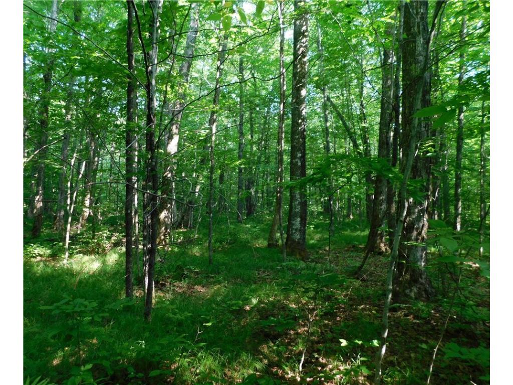 80 Acres Off Of County Road O Ogema WI 54459 1589847 image3