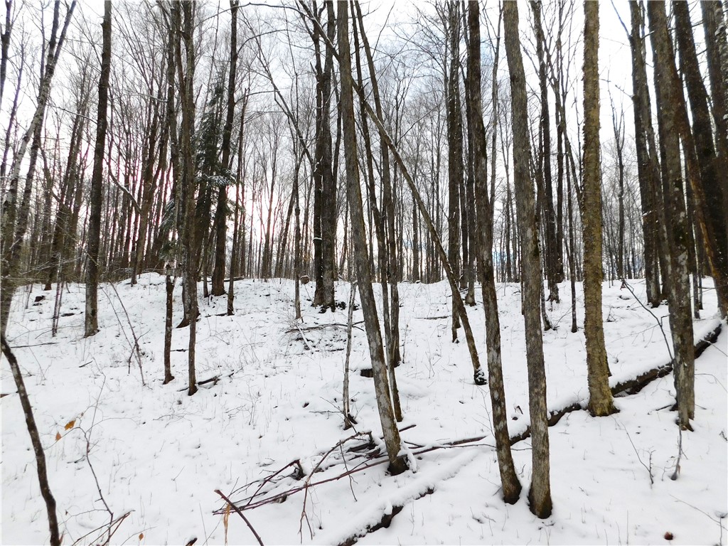 80 Acres Off Of County Road O Ogema WI 54459 1589847 image30