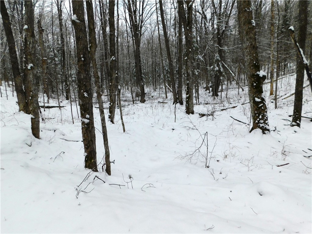 80 Acres Off Of County Road O Ogema WI 54459 1589847 image31