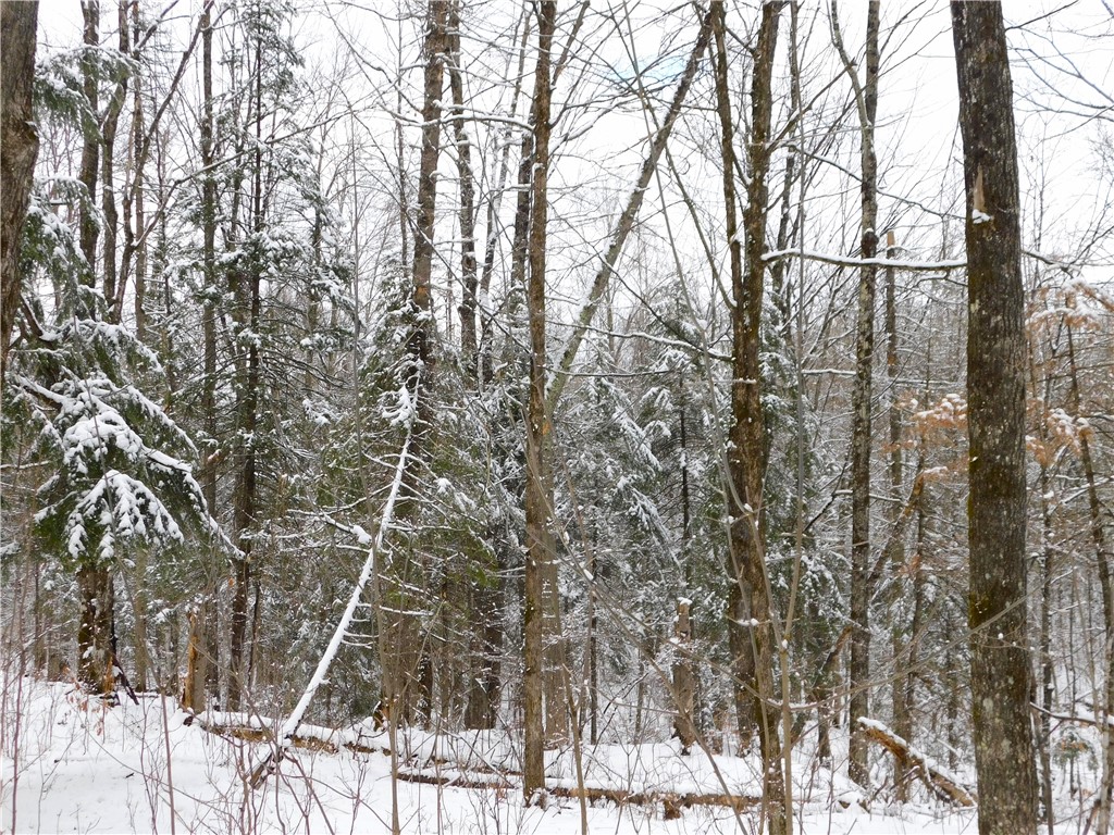 80 Acres Off Of County Road O Ogema WI 54459 1589847 image32