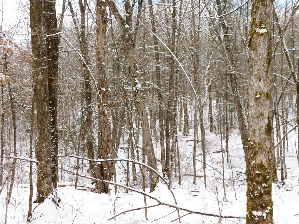 80 Acres Off Of County Road O Ogema WI 54459 1589847 image33