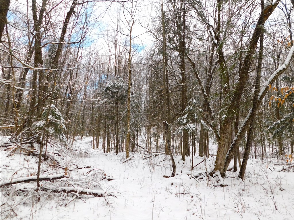 80 Acres Off Of County Road O Ogema WI 54459 1589847 image34