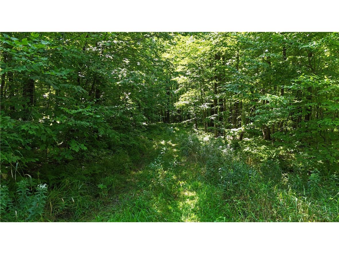 80 Acres Off Of County Road O Ogema WI 54459 1589847 image4