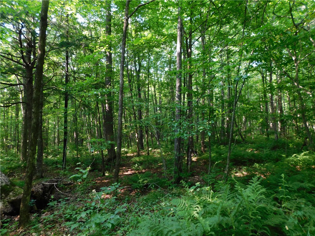 80 Acres Off Of County Road O Ogema WI 54459 1589847 image5
