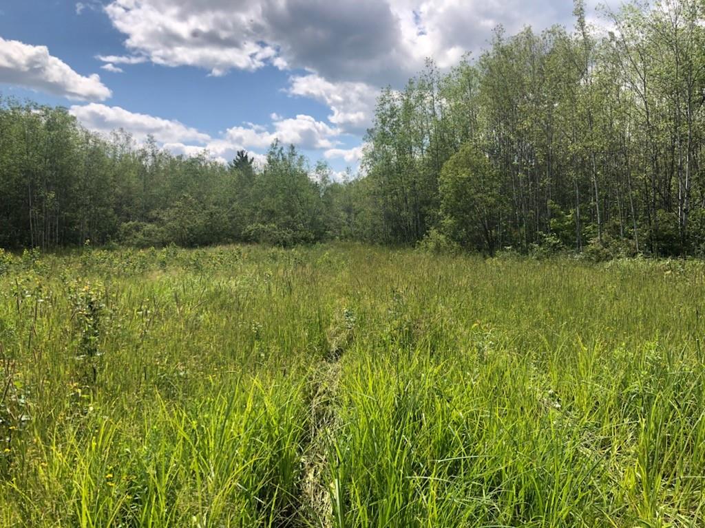 80 acres Elm Hoist Road Ashland WI 54806 1575593 image1