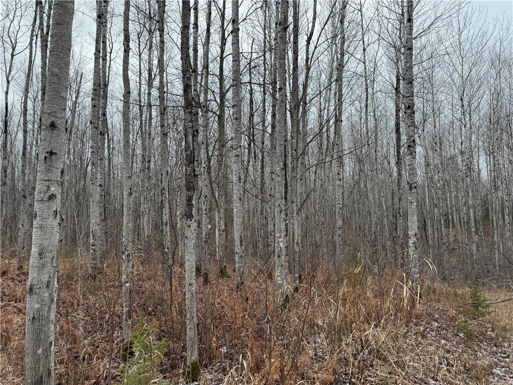 80 acres Tar Paper Alley Brule WI 54820 1579411 image1