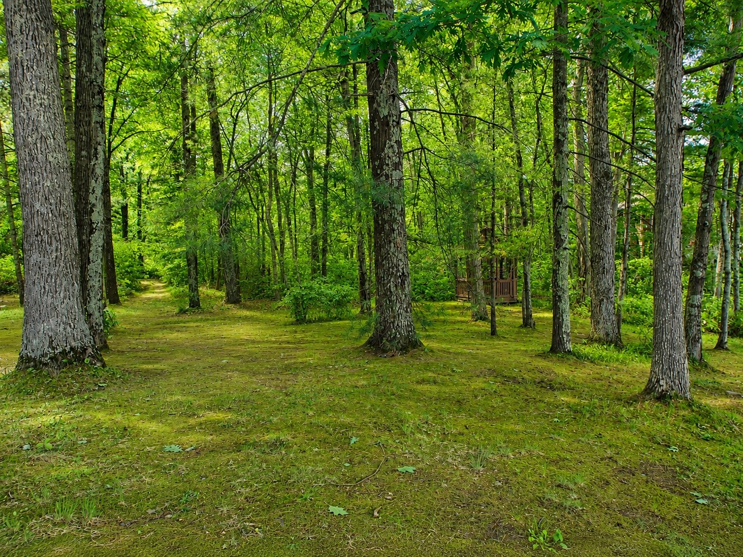 8048 N County Highway K Hayward WI 54843 - Lac Courte Oreilles 1600189 image39