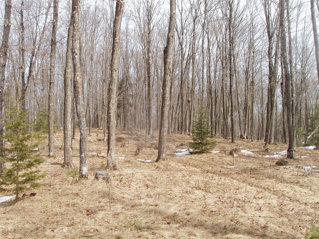 80580 Schwilk Road Glidden WI 54527 1599683 image31