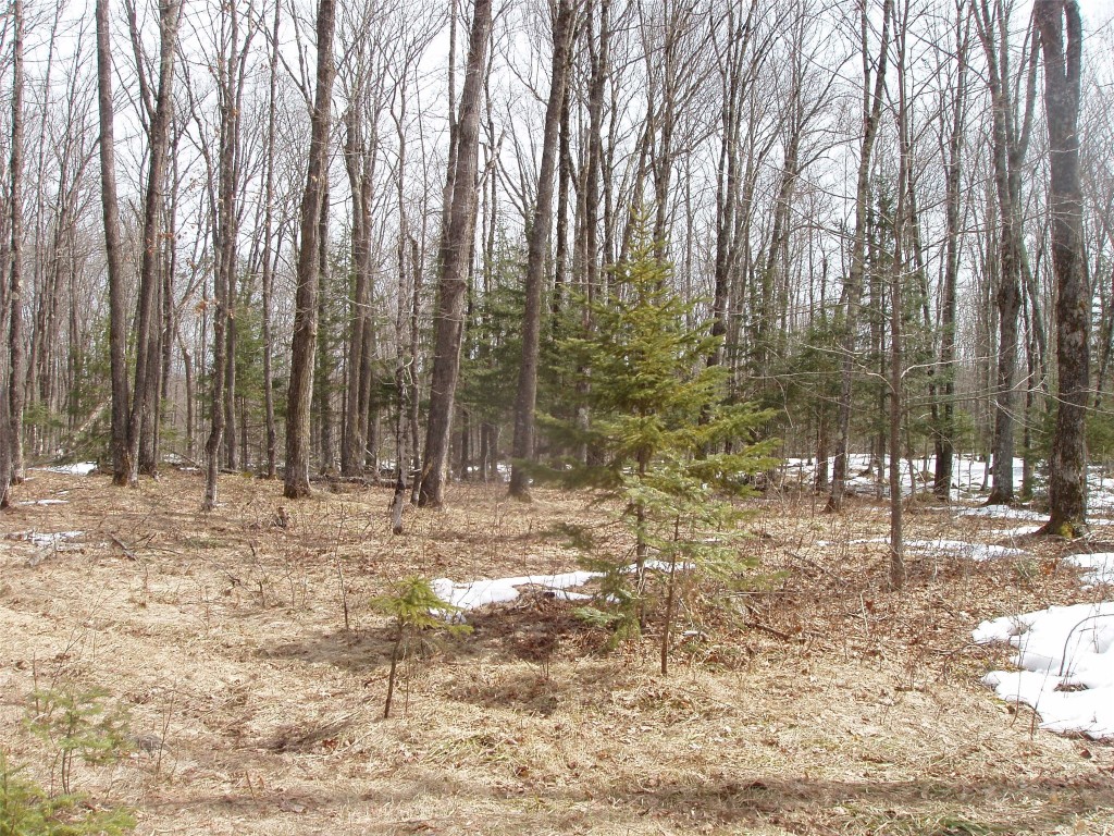 80580 Schwilk Road Glidden WI 54527 1599683 image32