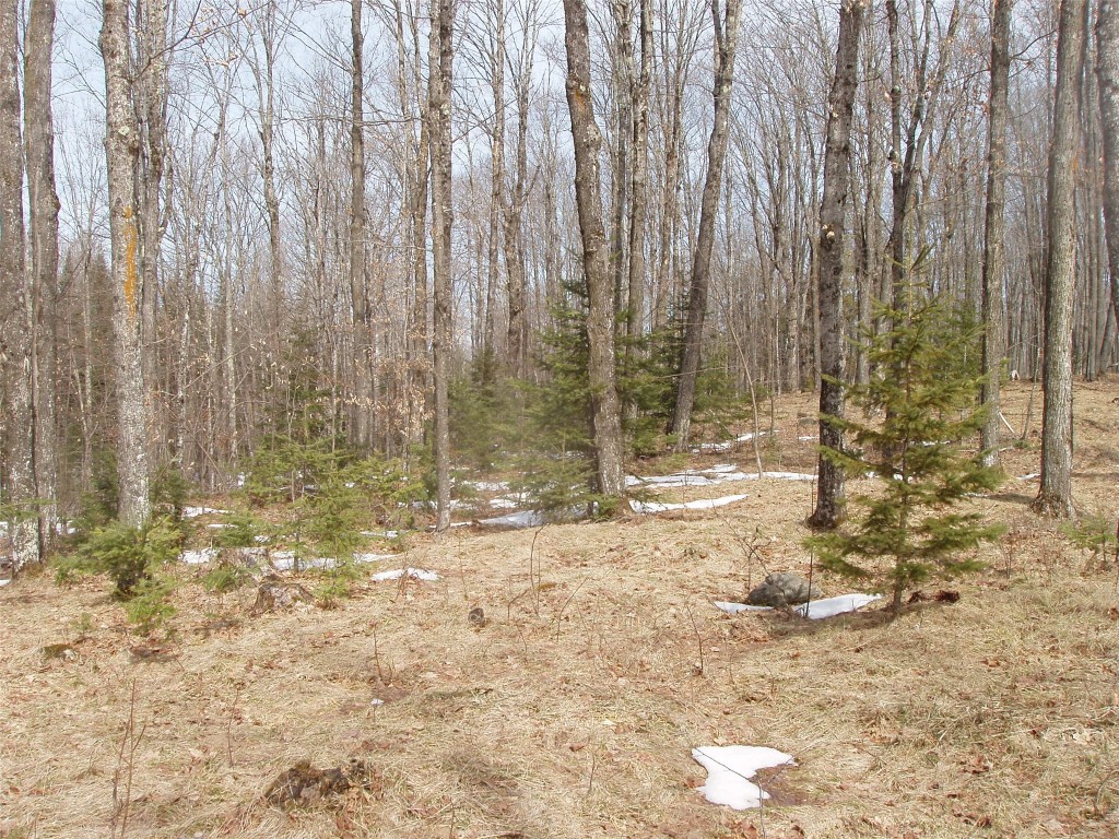 80580 Schwilk Road Glidden WI 54527 1599683 image33