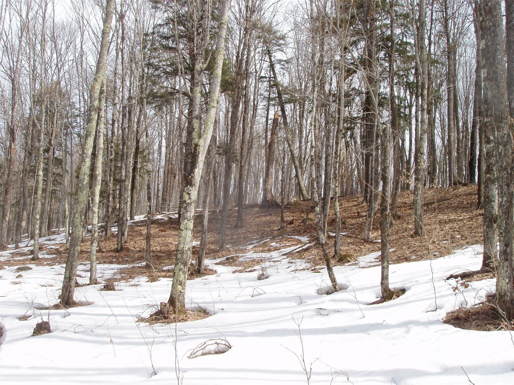 80580 Schwilk Road Glidden WI 54527 1599683 image34