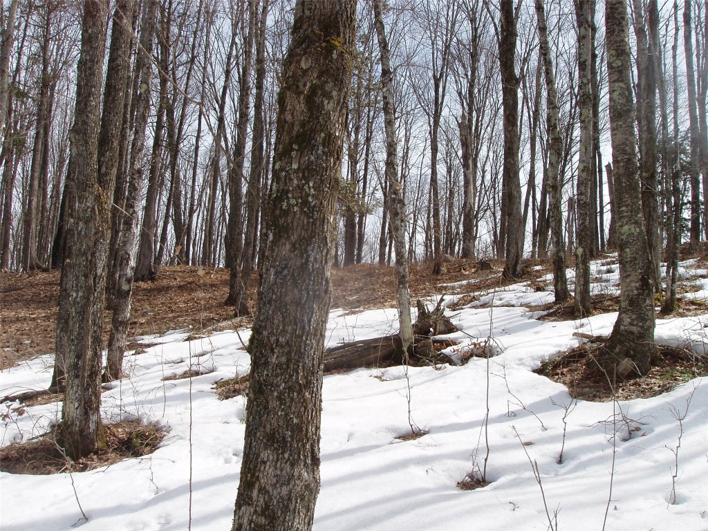 80580 Schwilk Road Glidden WI 54527 1599683 image36