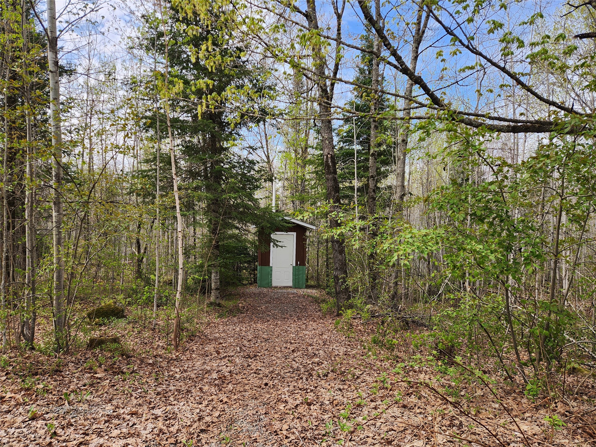 81289 East Side Fire Lane Glidden WI 54527 1601283 image11