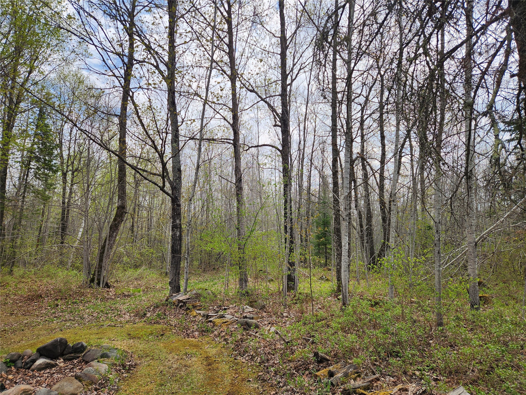81289 East Side Fire Lane Glidden WI 54527 1601283 image12