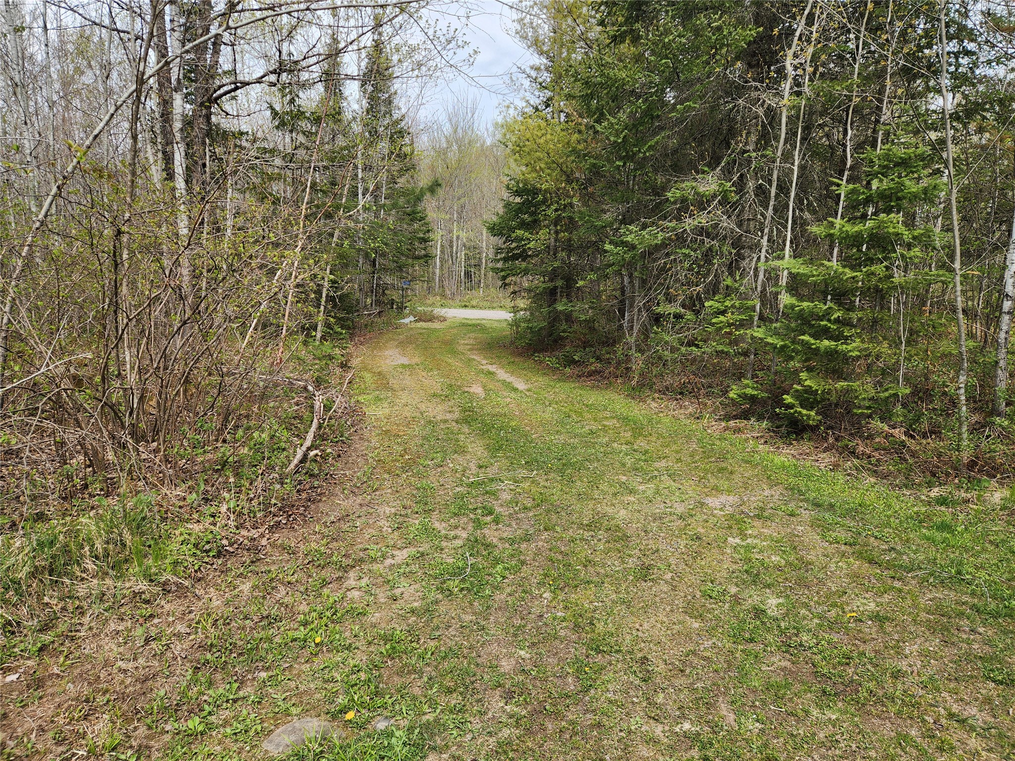 81289 East Side Fire Lane Glidden WI 54527 1601283 image13