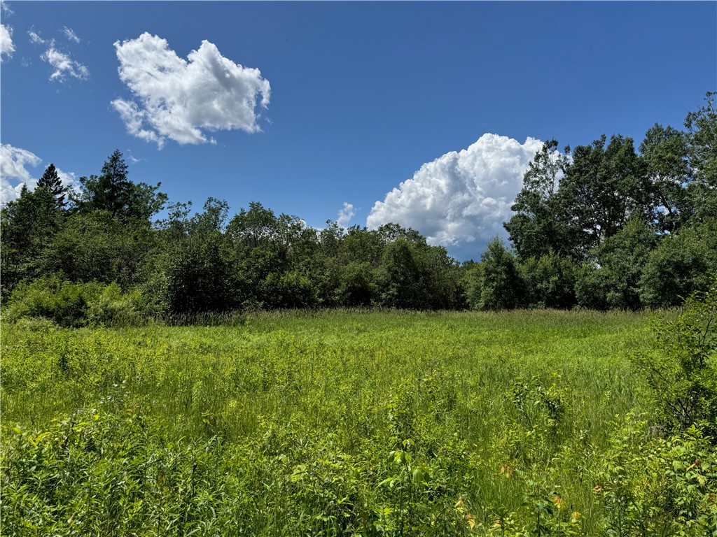 8143 N Wright Road Winter WI 54896 1594262 image15