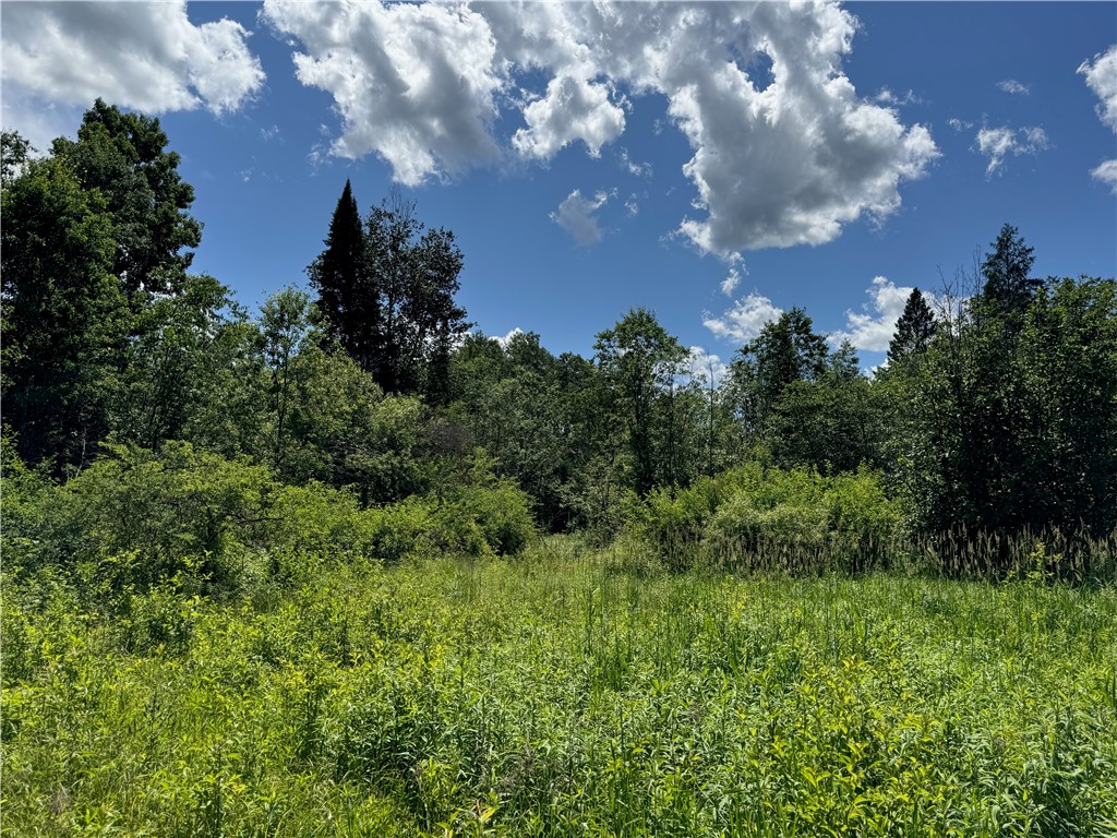 8143 N Wright Road Winter WI 54896 1594262 image18