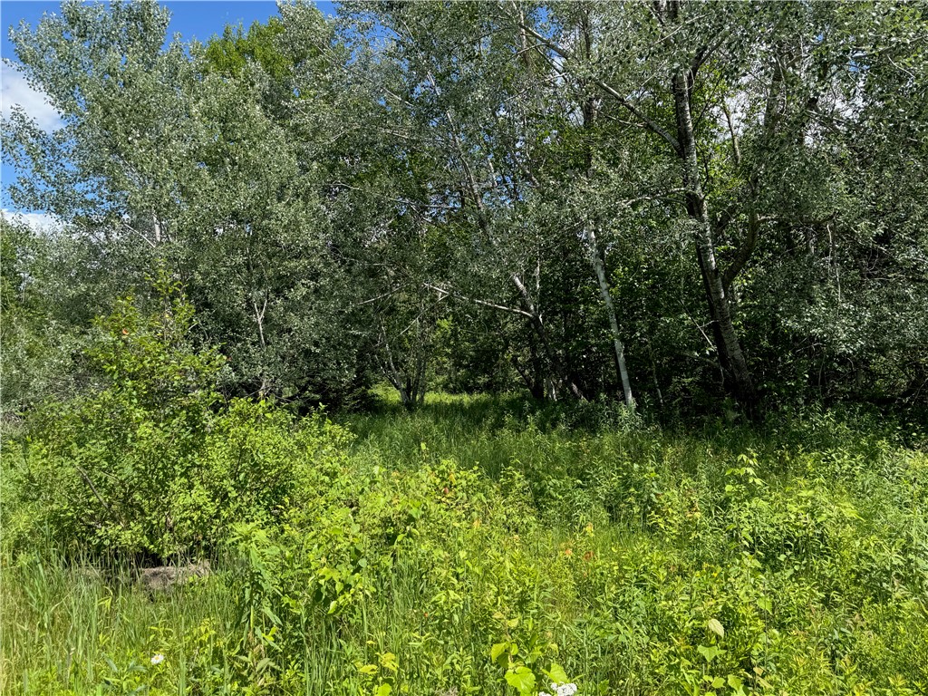 8143 N Wright Road Winter WI 54896 1594262 image20