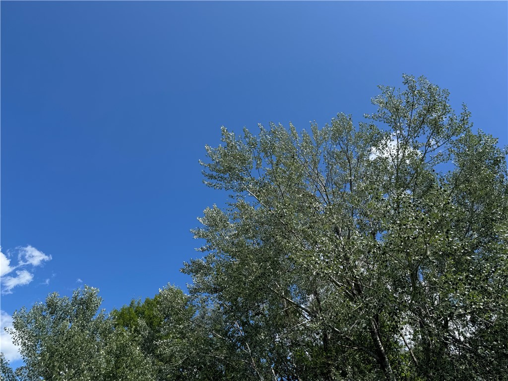 8143 N Wright Road Winter WI 54896 1594262 image21