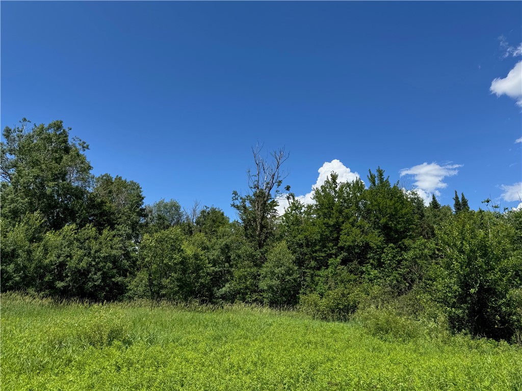 8143 N Wright Road Winter WI 54896 1594262 image22