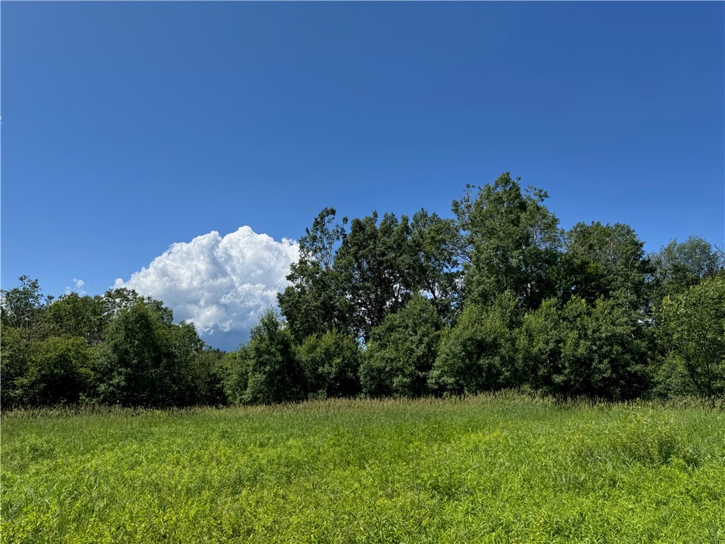 8143 N Wright Road Winter WI 54896 1594262 image23