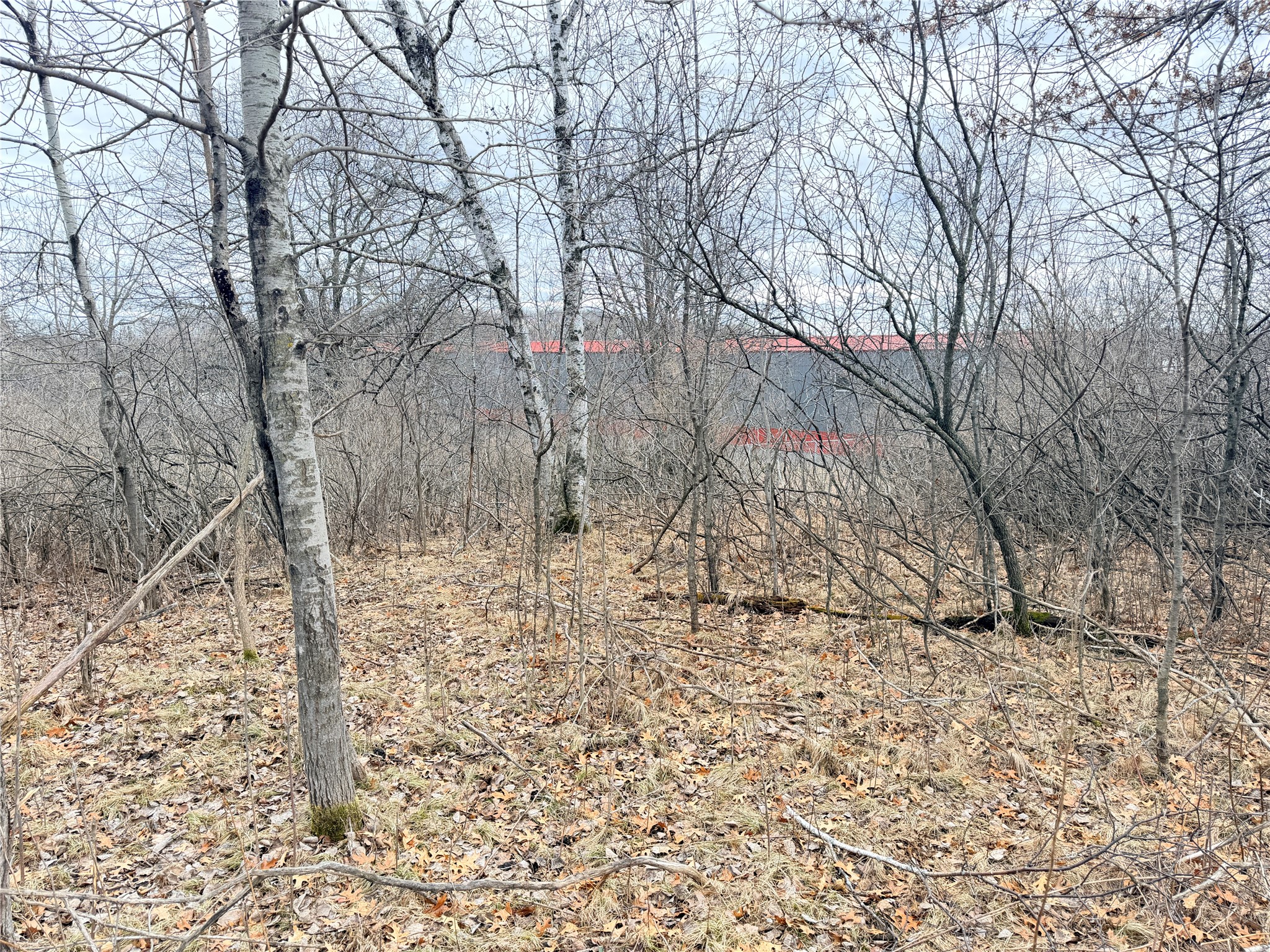 816 S Wisconsin Avenue Rice Lake WI 54868 - Red Cedar 1599759 image22