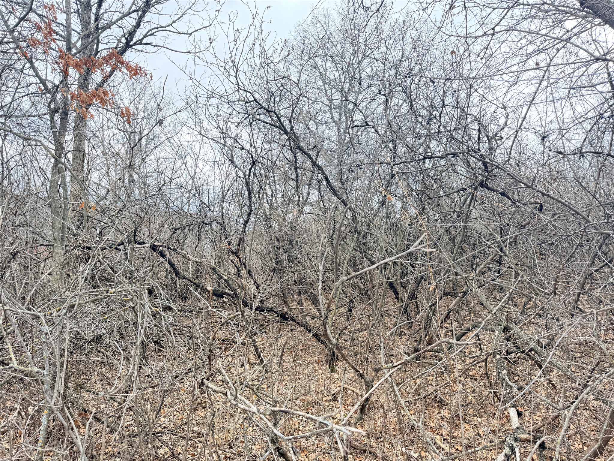 816 S Wisconsin Avenue Rice Lake WI 54868 - Red Cedar 1599759 image23