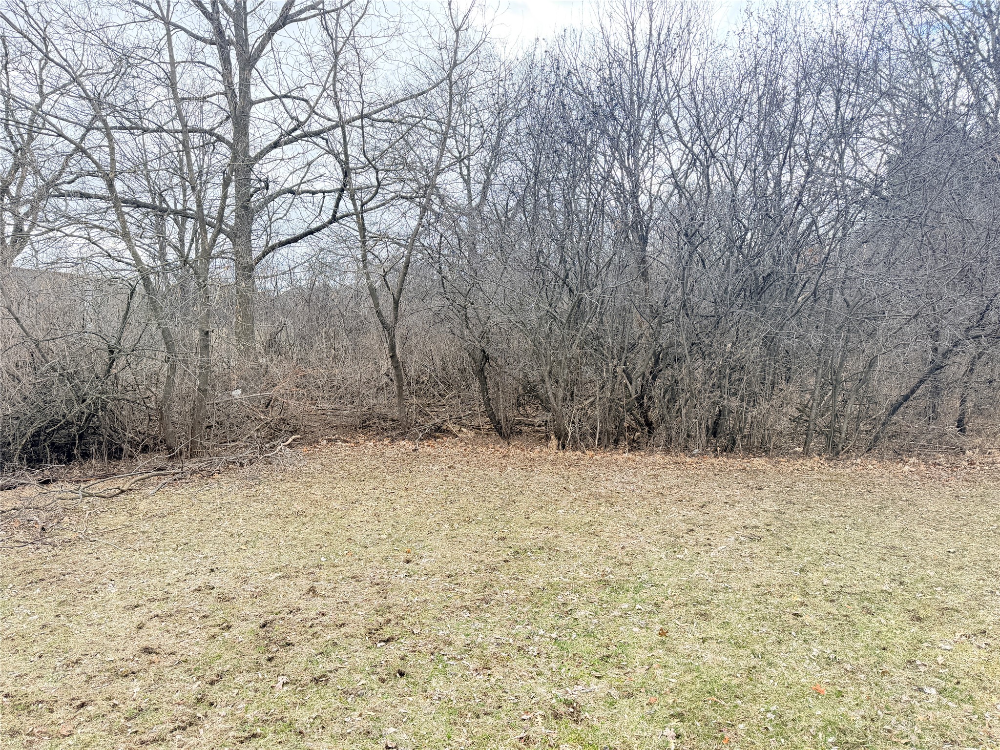 816 S Wisconsin Avenue Rice Lake WI 54868 - Red Cedar 1599759 image3