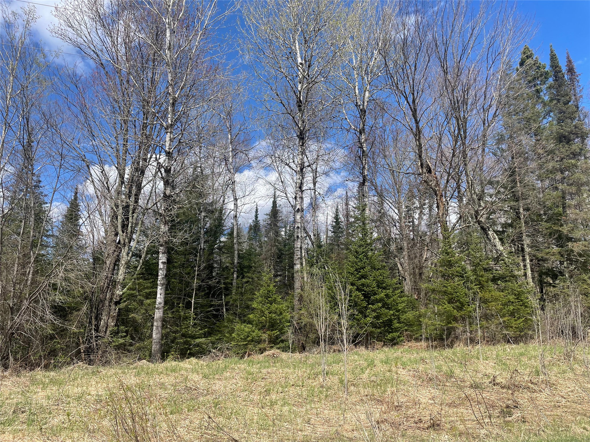 81620 Pociask Road Butternut WI 54514 1601089 image1